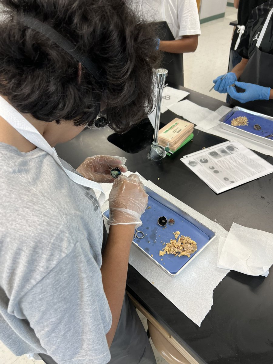 Gus Garcia University School tweet media