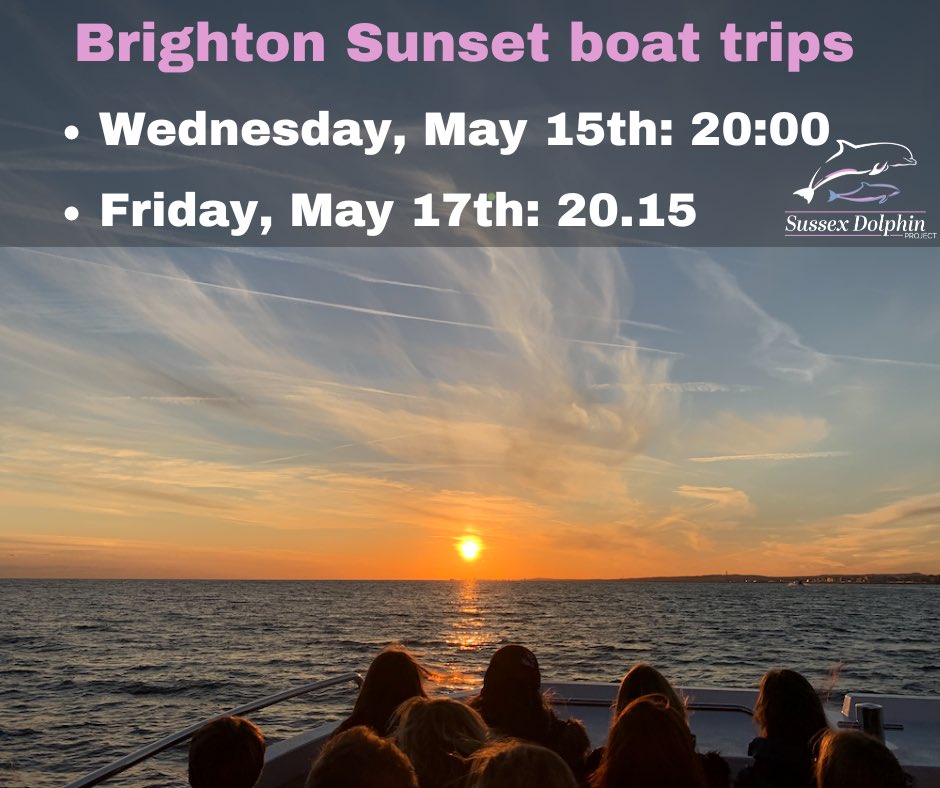 We have TWO #Brighton sunset #wildlife boat trips next week! - Wednesday, May 15th at 20.00 - Friday, May 17th at 20.15 Please book here: sussexdolphinproject.org/sunset-wildlif… Adults: £27 Children (under 16): £18 #brightonandhove #SussexDolphinProject #sussex