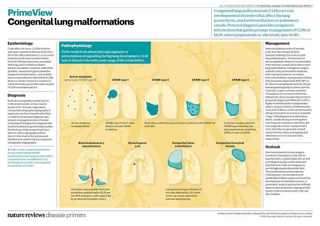 Malformaciones Congénitas Pulmonares 🫁

 #SoMe4PedSurg