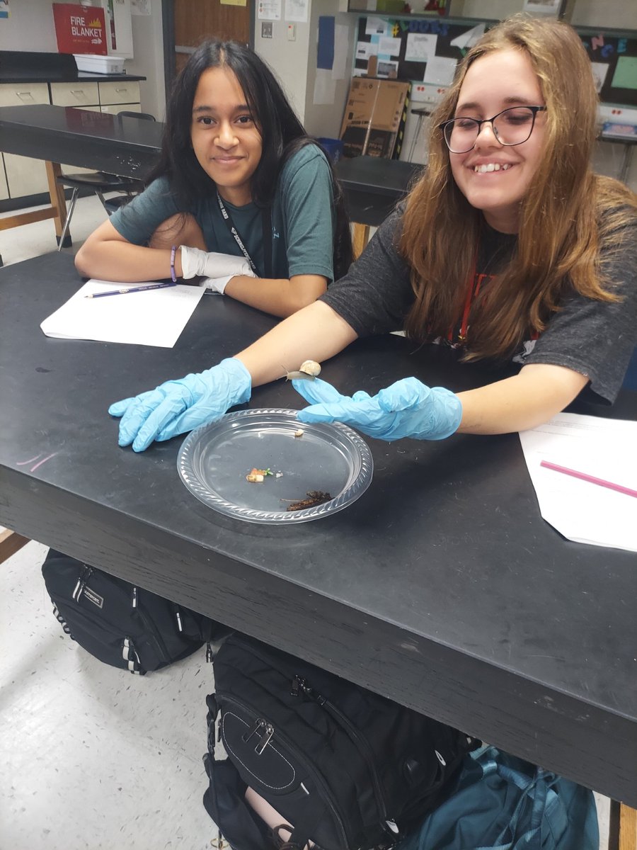 Schimelpfenig MS tweet media