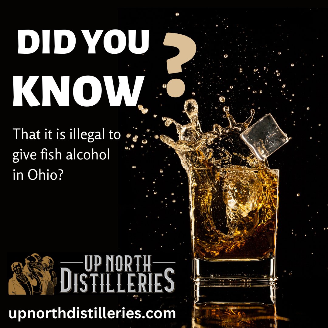 UpNorthEnterta1's tweet image. It is also illegal in Alaska to feed alcohol to moose. Visit Upnorthdistilleries.com to discover local distilleries Up North
#liquor #localdistilleries #localdistillery #northernmichigandistilleries #northernmichigan #liquortrivia #trivia #liquorfunfacts #funfacts #didyouknow