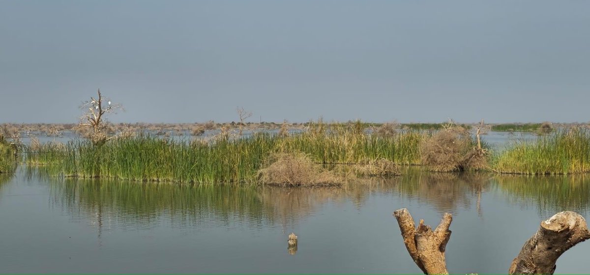 The parliamentary committee for water resources and irrigation warned of looming flooding, which could spark a housing crisis in South Sudan.
