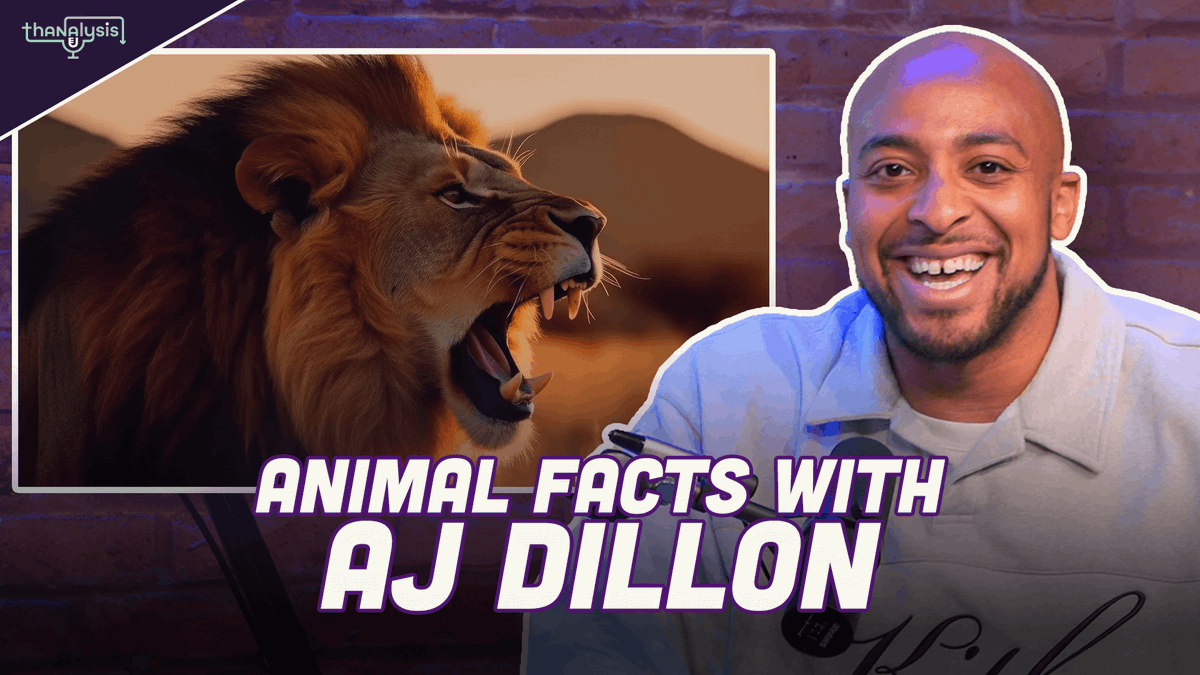 What are your top-3 aquatic animals? @Thanasis_ante43 and @AJDillon7 break down their favorite water creatures + Amazing Animal Facts! Watch: youtube.com/watch?v=EIBg6b…