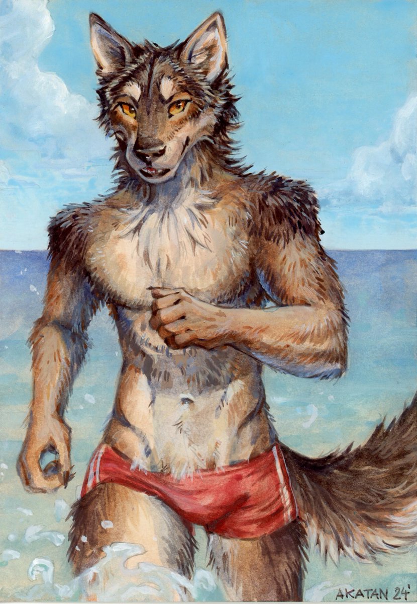 Summer Wolf ⛱☀️