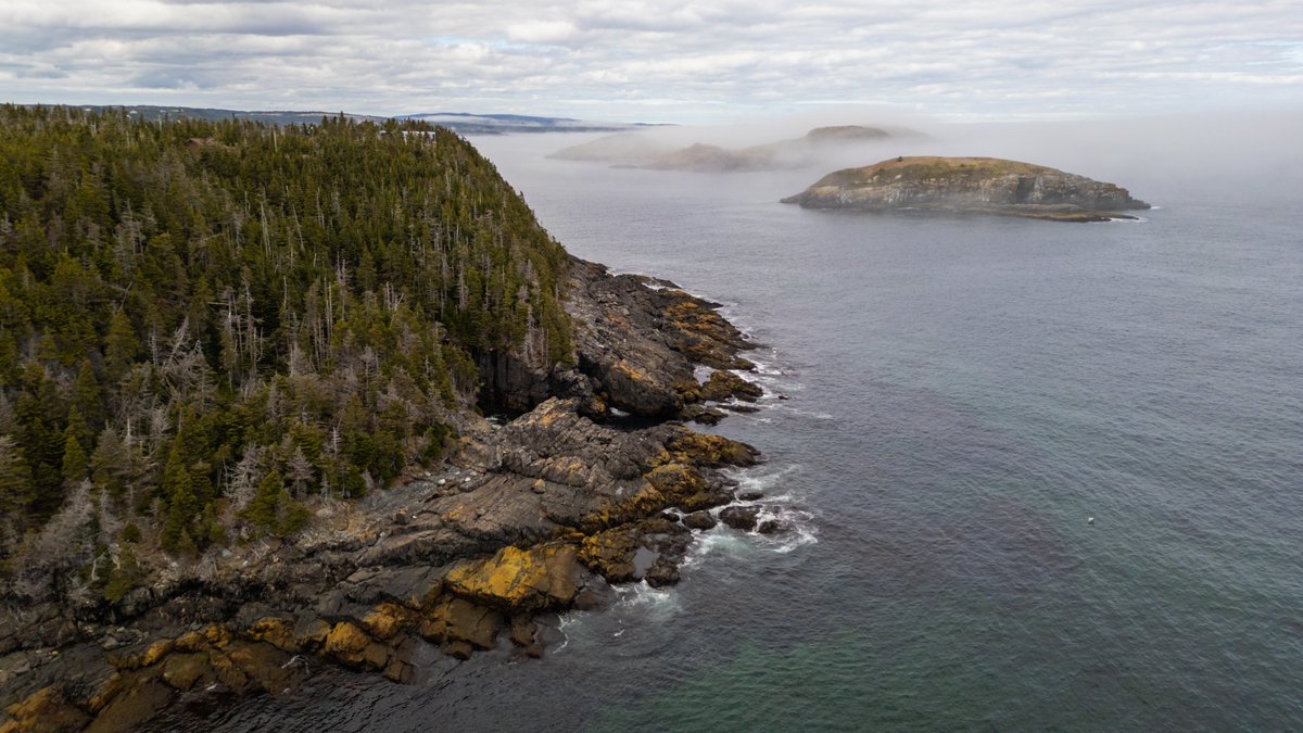 Some afternoon fog over the Burnt Cove islands today. The Southern Shore on the the Irish Loop has no shortage of fog in the summer. #Newfoundland #Canada #ExploreNL #ExploreCanada #EastCoastTrail #ECTlove #nlwx