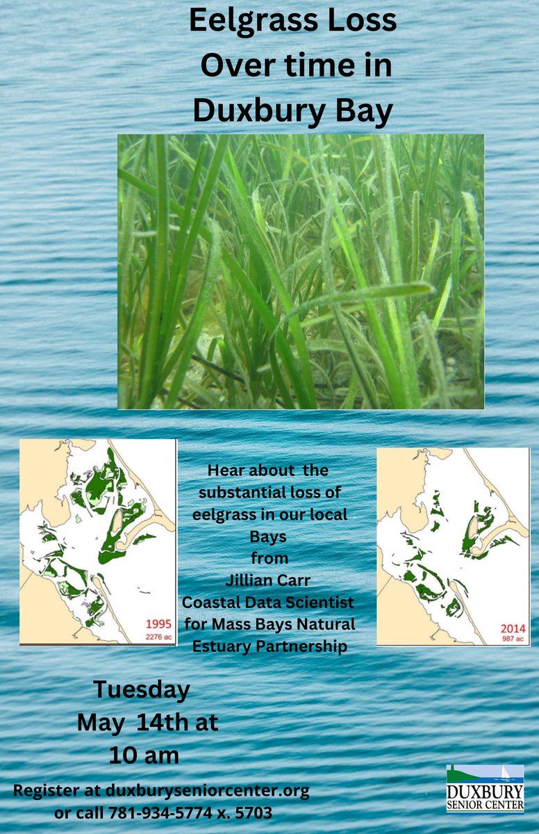 What's happening to the eelgrass in the Bay? Find out more at this presentation next Tuesday