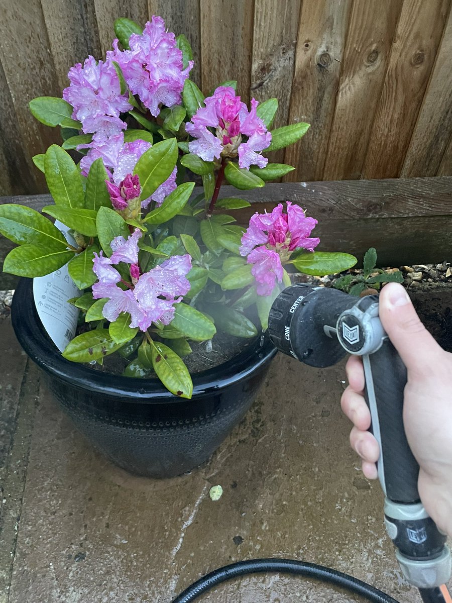 That spring-summer watering task has begun and my Leyat Watering Spray Gun is still going strong! Experience cool evenings with a Leyat Watering Spray Gun featuring up to 8 functions from mist for watering delicate plants to jet washing the car. #outdoorprofessionalproducts