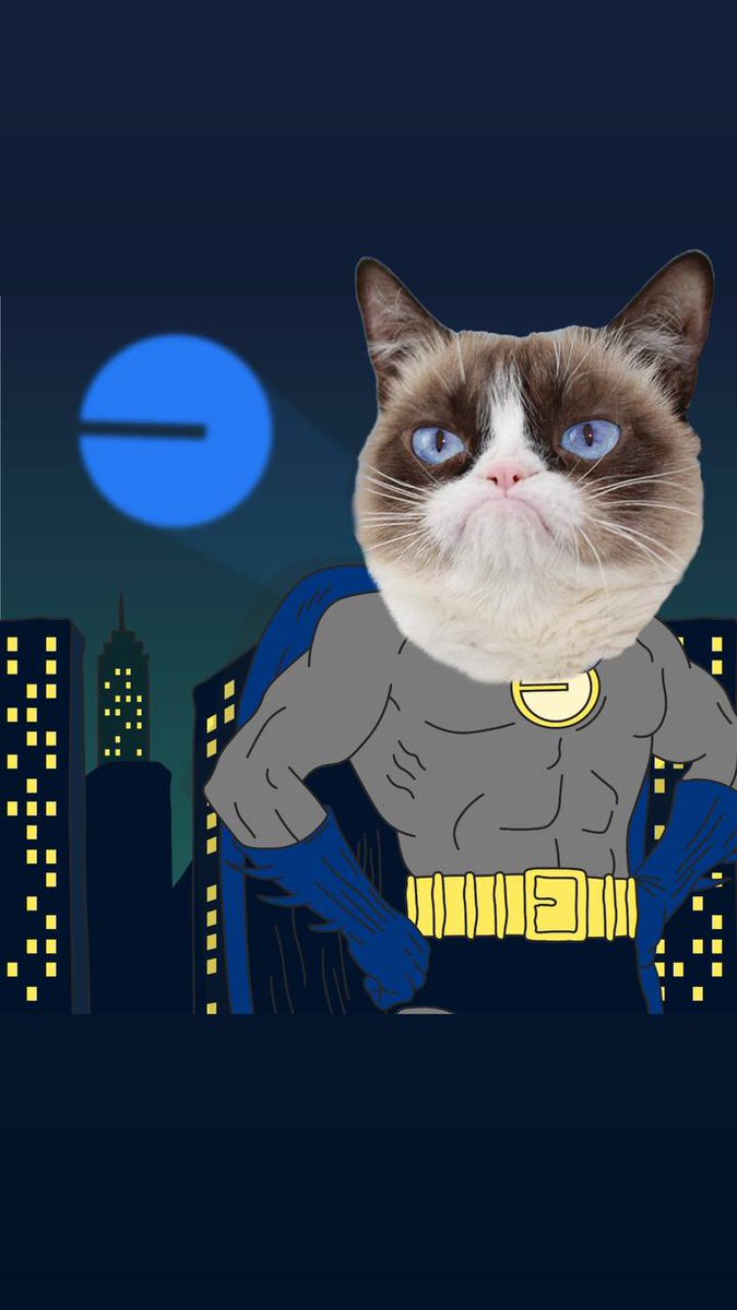 CryptoClassic99's tweet image. Grumpy Cat on Base 🔥🔥🔥
📄..f063 $34k