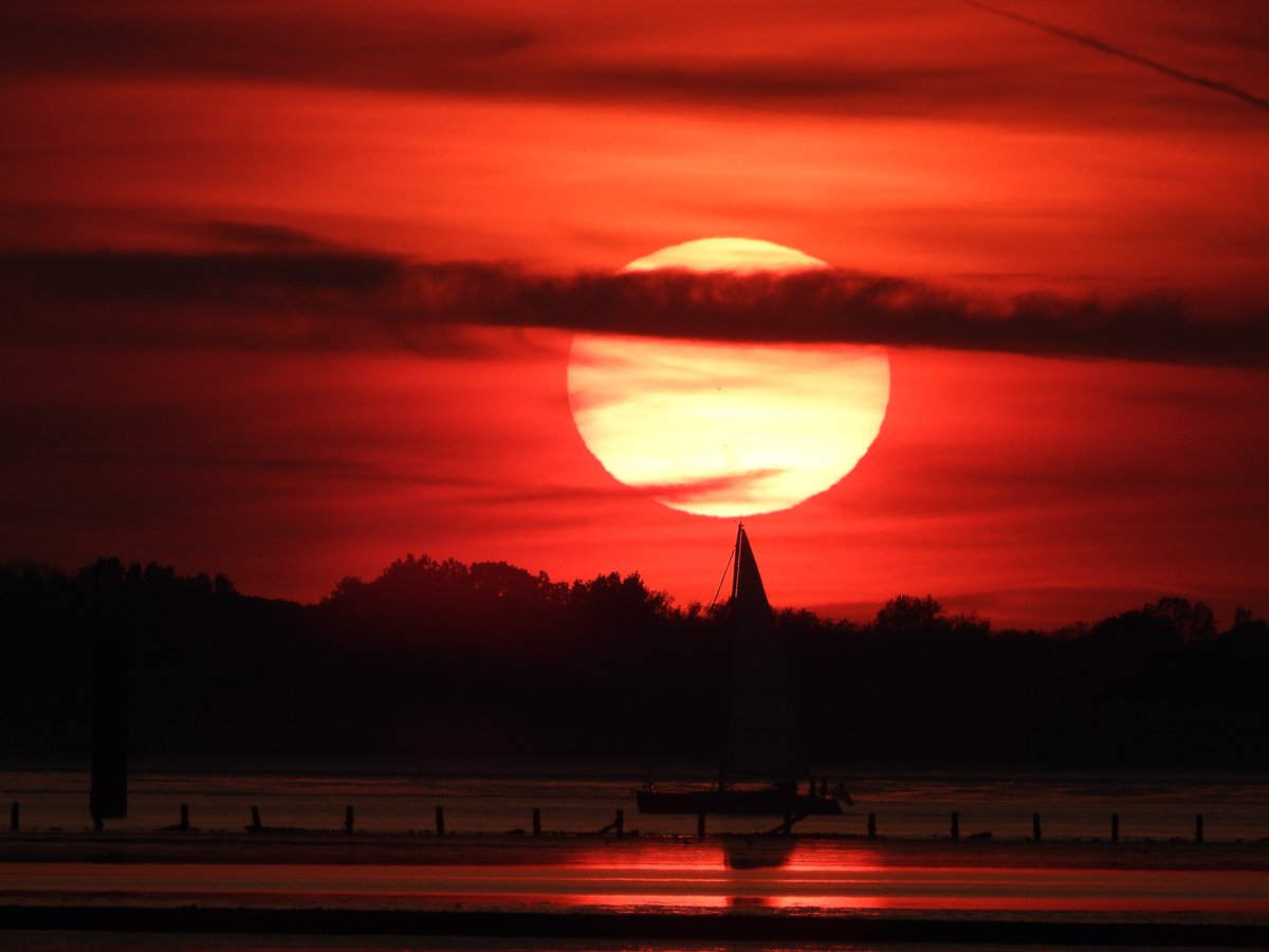 Relaxing views from Sheerness Beach on the Isle of Sheppey as the sun goes down after a nice warm day, managed to capture the sailing boat and the bird that wanted to be in the shot. 🌆

#Swale #Sheppey #LoveUKWeather #Sunset #Skies #Beautiful #YourUK