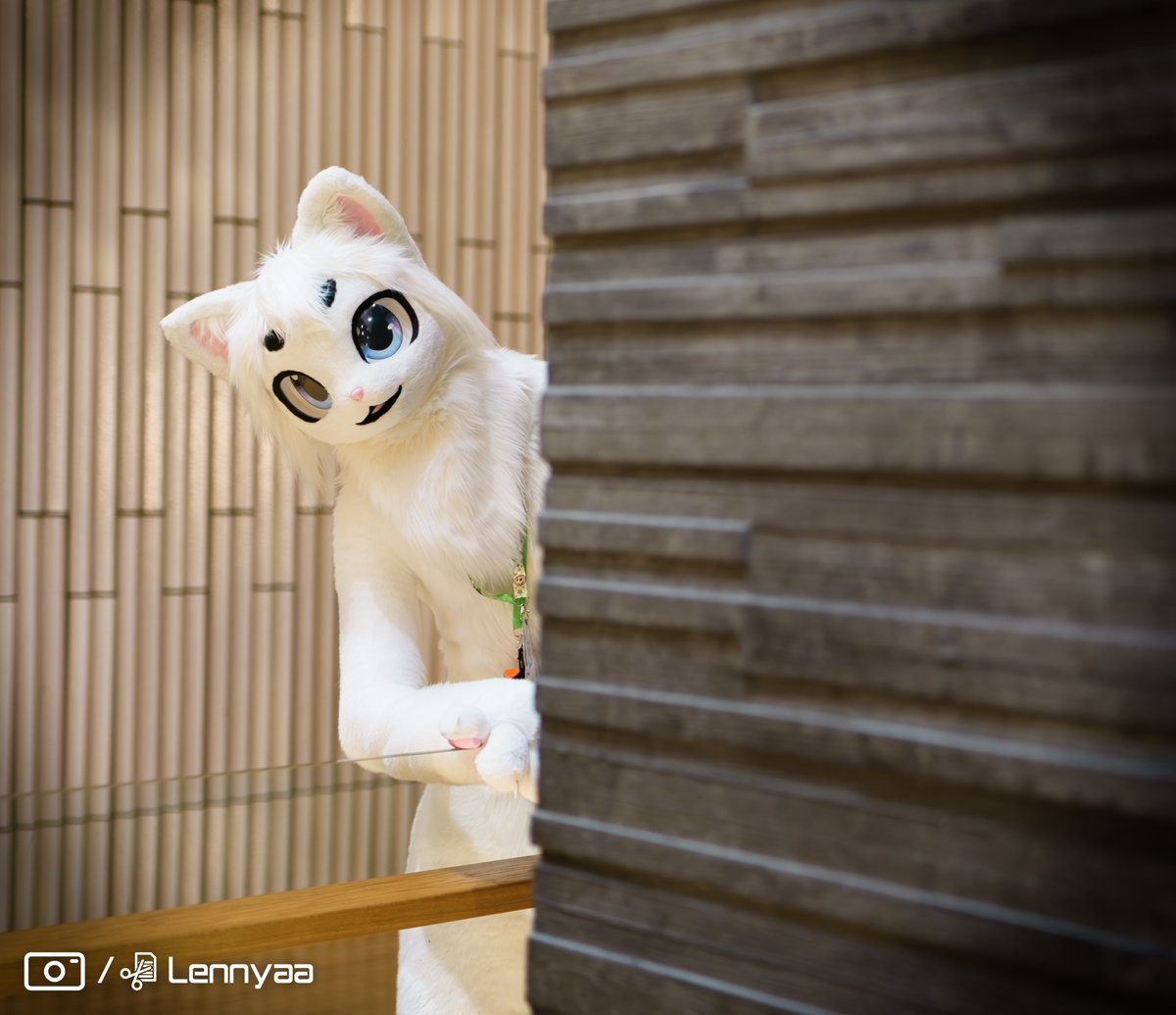 hewo there #nfc2024 #kemono