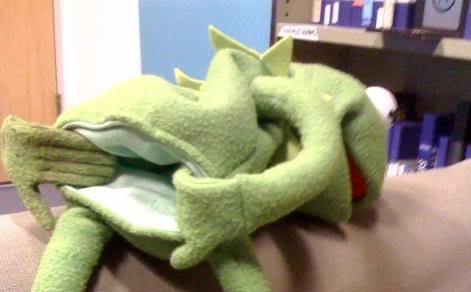 MemeGuru tweet media