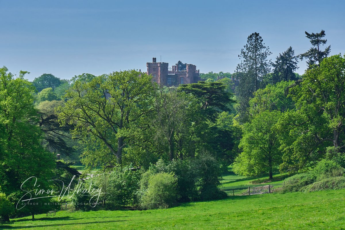 Wandering Wound Welshpool 1