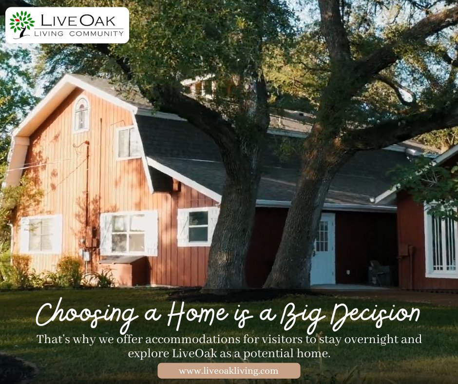 Are you looking for a community to call home? Visit our website to discover how LiveOak supports adults with cognitive disabilities!---> ow.ly/TuyK50RkU17

#LiveOak #Supportive #Community #AssistedLiving
