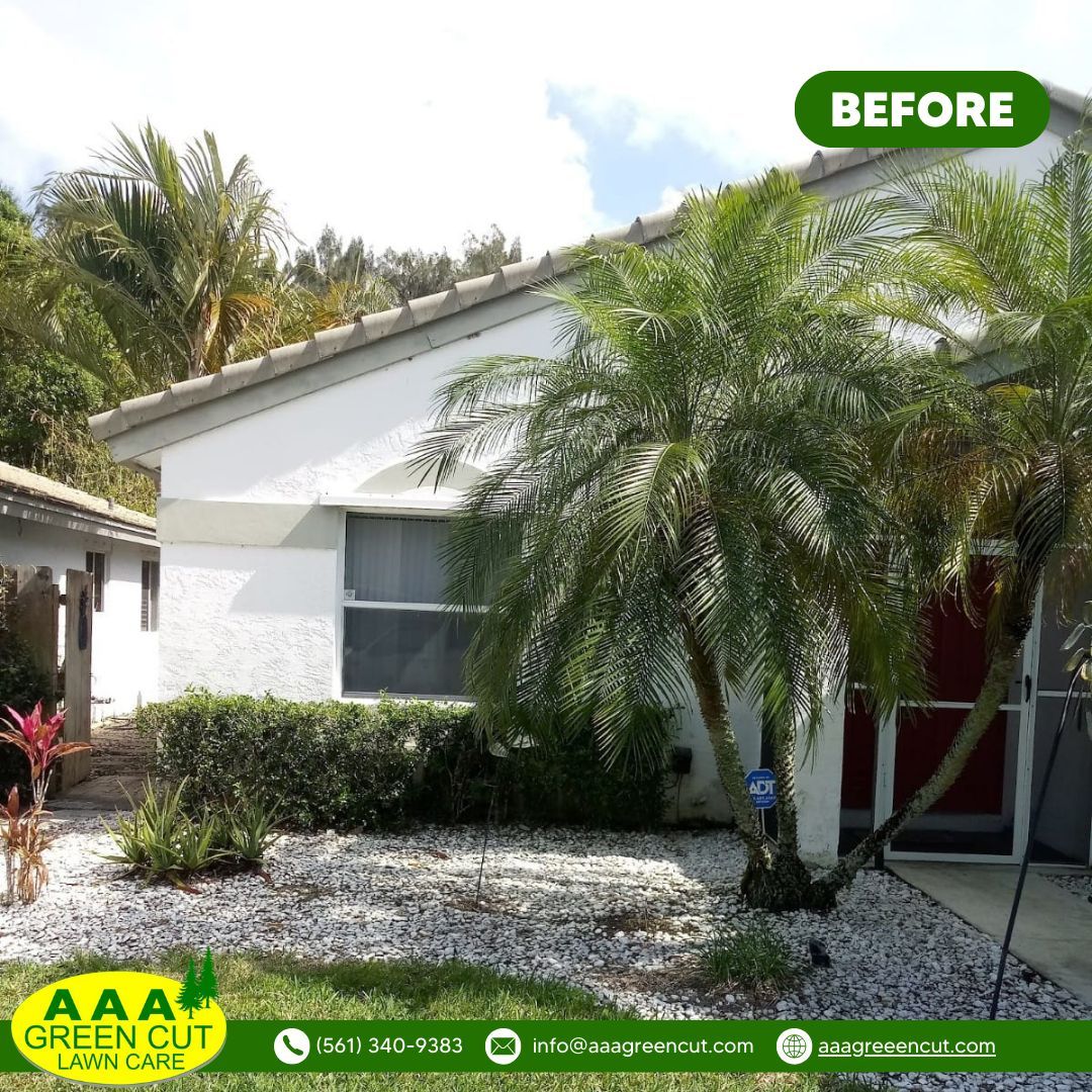 Transform Your Outdoor Space: Before and After Landscape Makeover! 🌿✨ Witness the stunning transformation of our recent landscape makeover project at AAA Greencut. Contact us today to schedule your landscape makeover and create the outdoor oasis of your dreams.