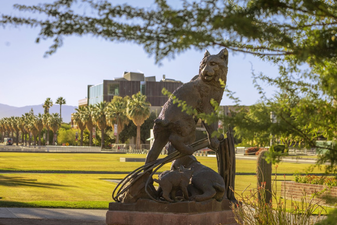 The University of Arizona will recognize seven graduating seniors during Commencement for their extraordinary accomplishments both in and out of the classroom. bit.ly/4bsaQHi
