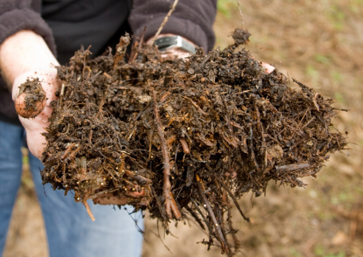 Using water efficiently starts with healthy soil! 🌱 Sign up for the Composting and Amendments the Natural Way class on May 11th at the New Start Community Garden, and learn all about building healthy soil with compost. Learn more: ow.ly/nsEN50RyPqf