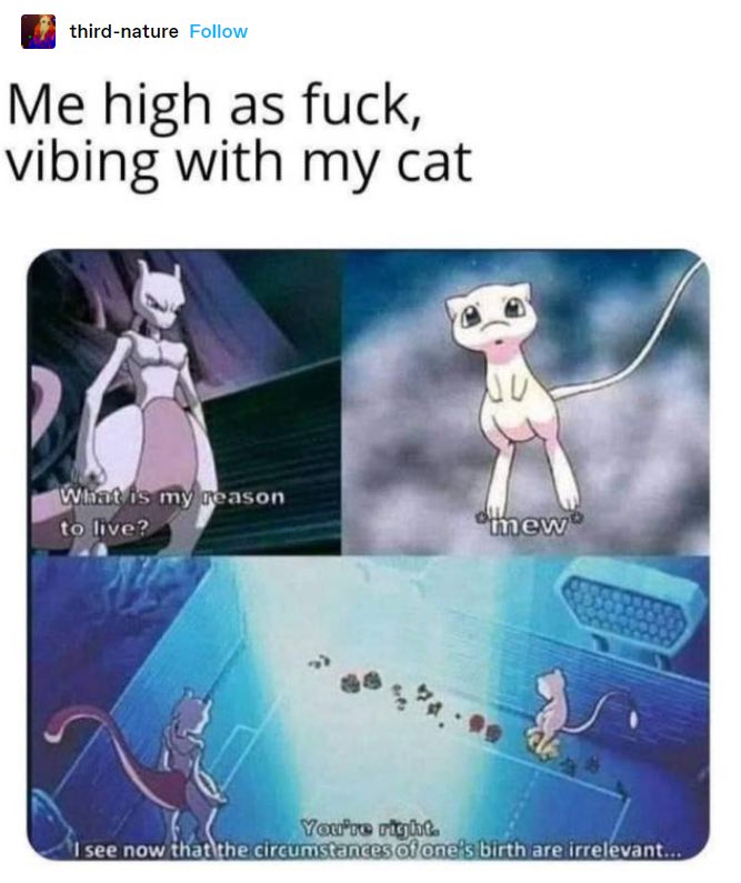 PokemonGems's tweet image. 