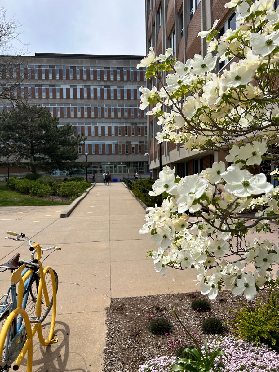 Sights of spring on our Waterloo campus 🌸