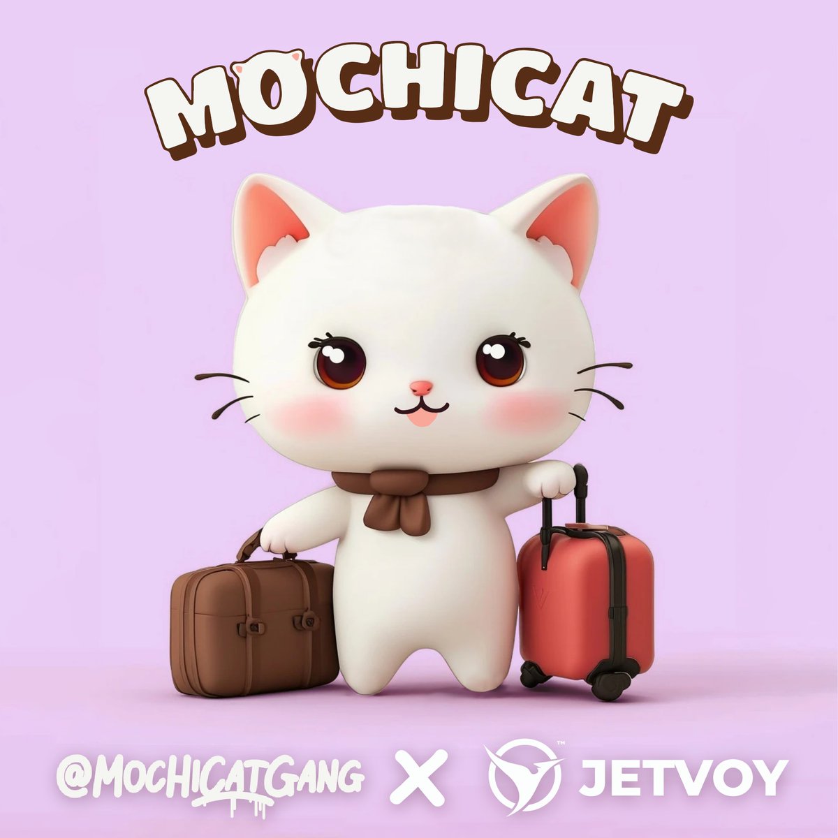 take a vacay with #MOCHICAT and @JetvoyOfficial! 👀 ✈️😻