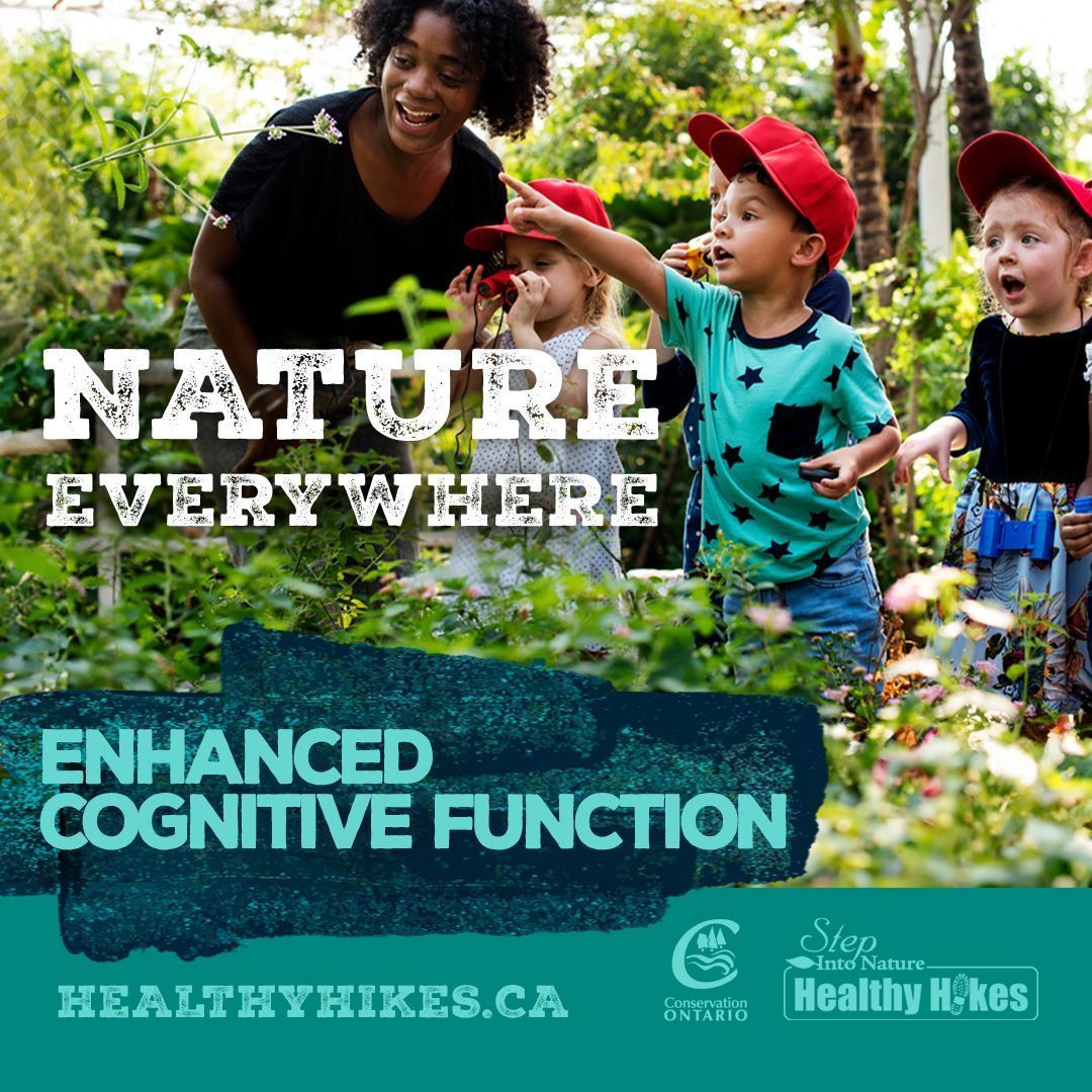 Studies have found that exposure to nature can improve cognitive function, including attention, memory, and creativity, leading to better mental clarity and focus. #StepIntoNature #HealthyHikes #ConservationAreas #MentalHealthWeek #mentalhealth