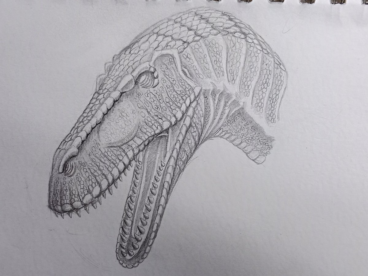 蠻龍素描

(Torvosaurus sketching )

#paleoart 
#dinosaurs 
#恐竜
#恐龍