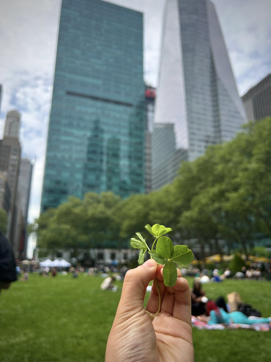 We’re feeling lucky 🍀! 3 four leaf clovers found on the Bryant Park lawn 💚.