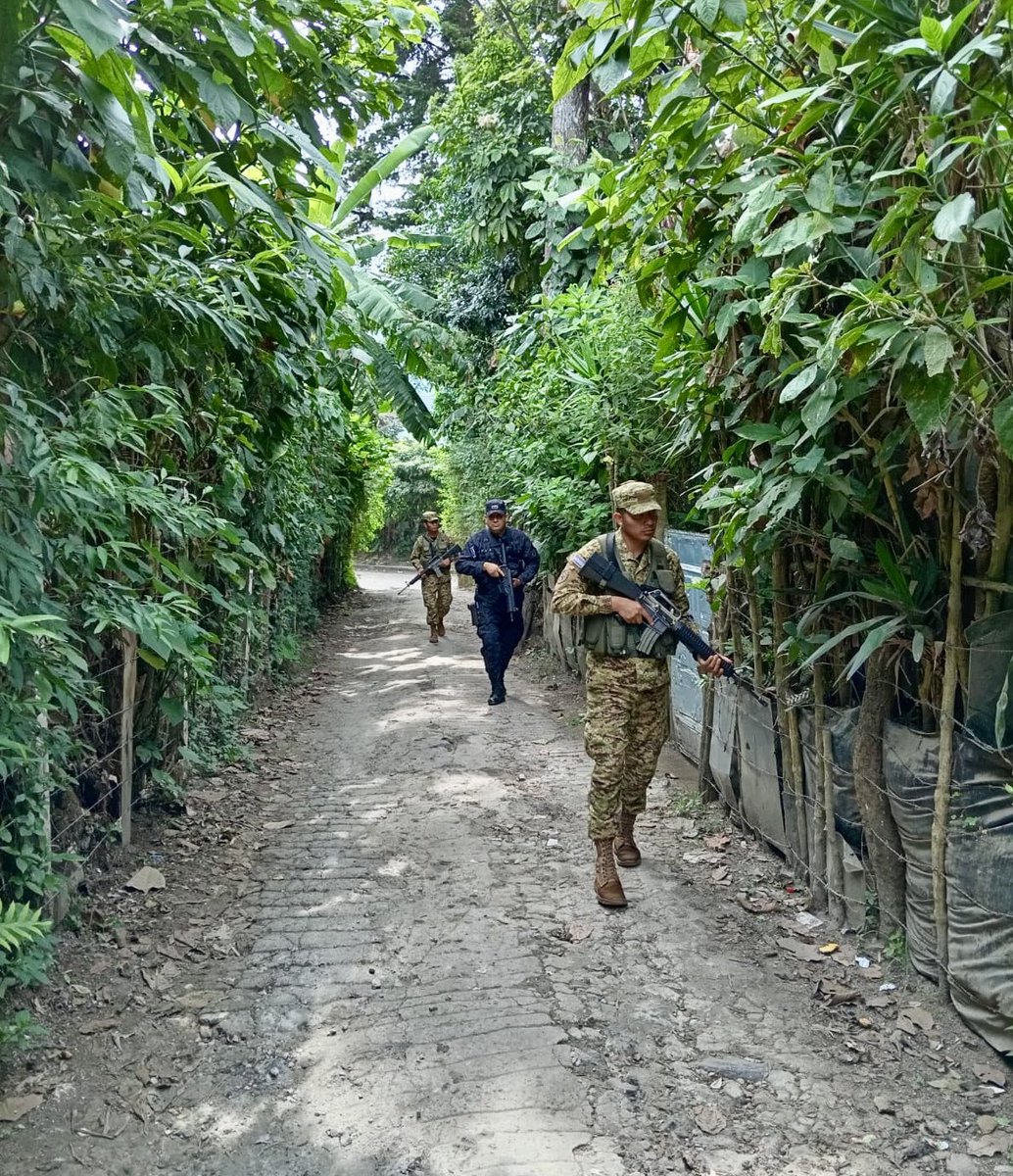 Los efectivos de la Brigada de Artillería, en conjunto con elementos de la @PNCSV, brindan seguridad en diferentes zonas de cultivos del departamento de La Libertad, como parte de las acciones del #PlanControlTerritorial.