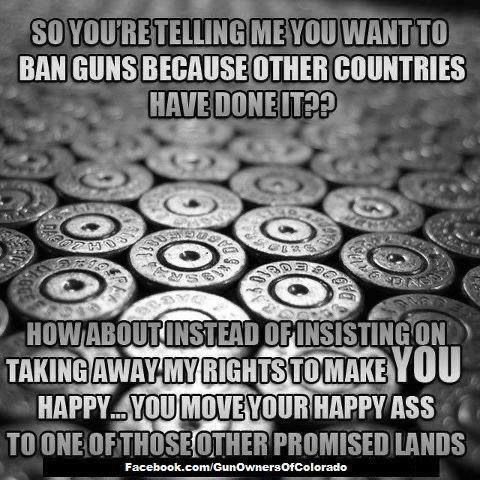 I think that’s a great idea! #2AShallNotBeInfringed