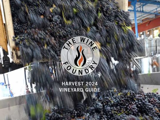 Our 2024 Vineyard Guide is now live ! tinyurl.com/yzutt8xu #makewine #napa #customwine