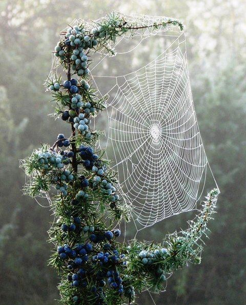 Духовное кли не существует мы его плетем , как паук свою паутину
Духовное кли  связано из наших мыслей....
Семинар единства 09-05-2013
с мин 15.52