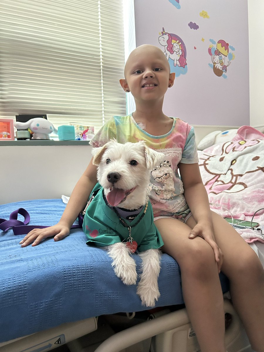 The strength displayed by the child battling cancer, and that of the parents that battle alongside, is truly awe inspiring! ~ Deke🐾 #AStrongerFamilyTogether #PawYouNeedIsLove #TherapyDog @Nonprofit4Kids