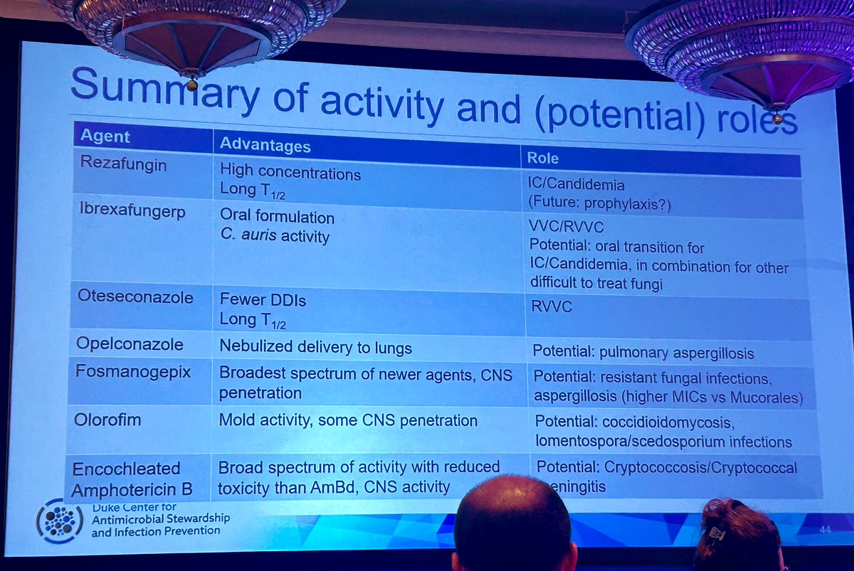 Cara Nys Slaton tweet media