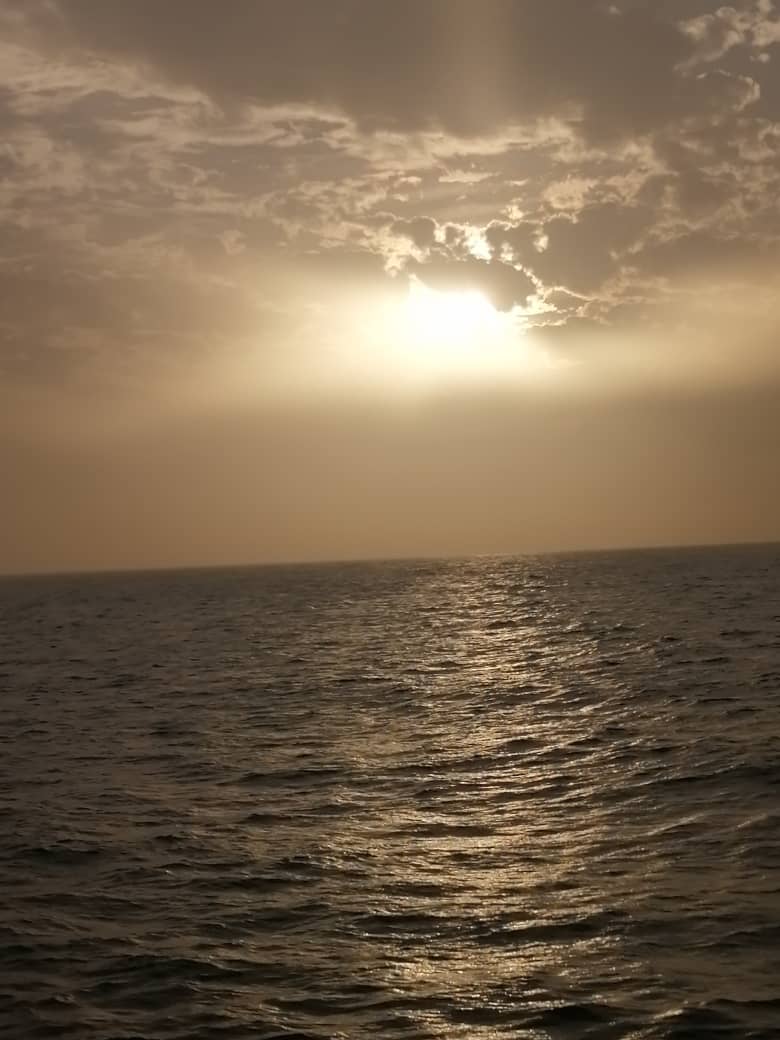 adama14509 tweet picture