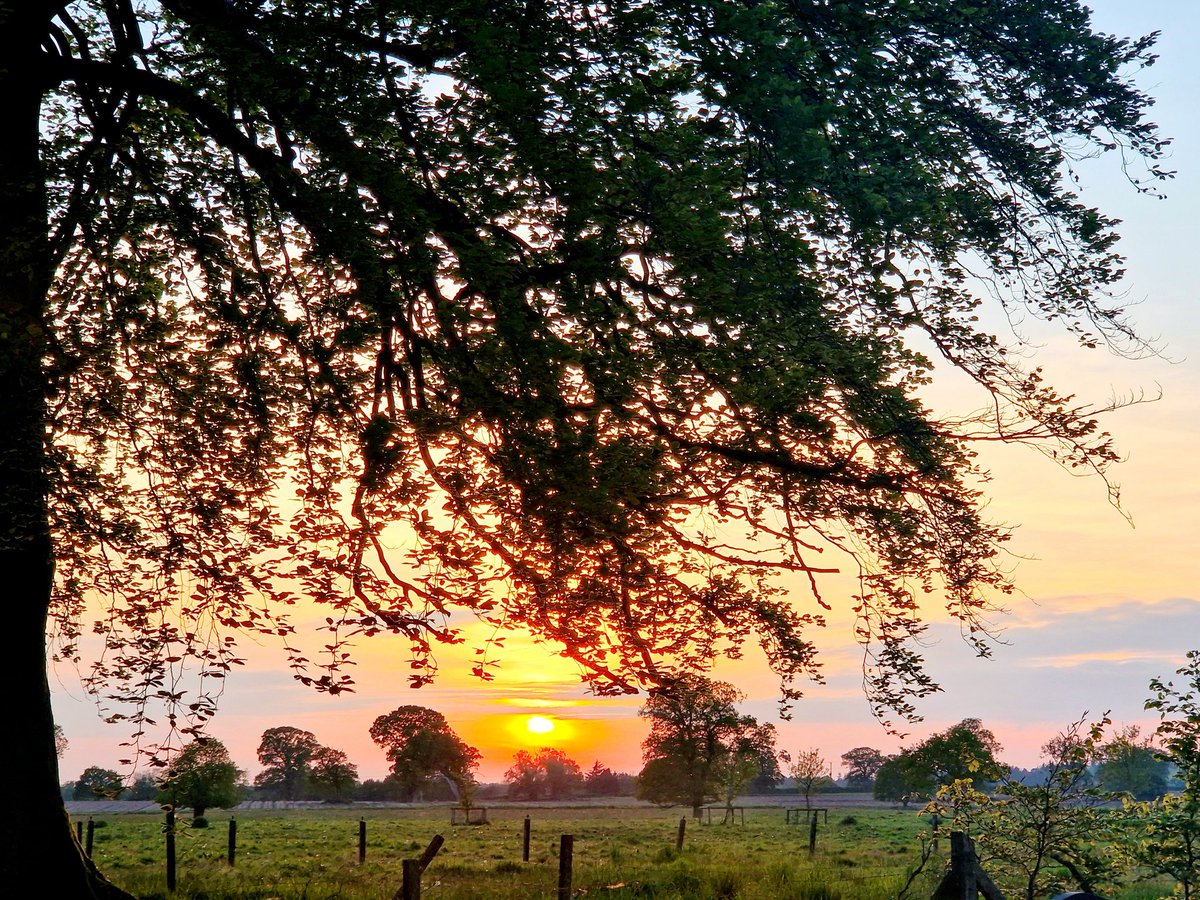 Beautiful evening service at St Botolph's, Westwick for Ascension Day ☁️ ⛪️Thank you @FrDavidWarner <a href="/northwalshbenef/">North Walsham Benefice</a>