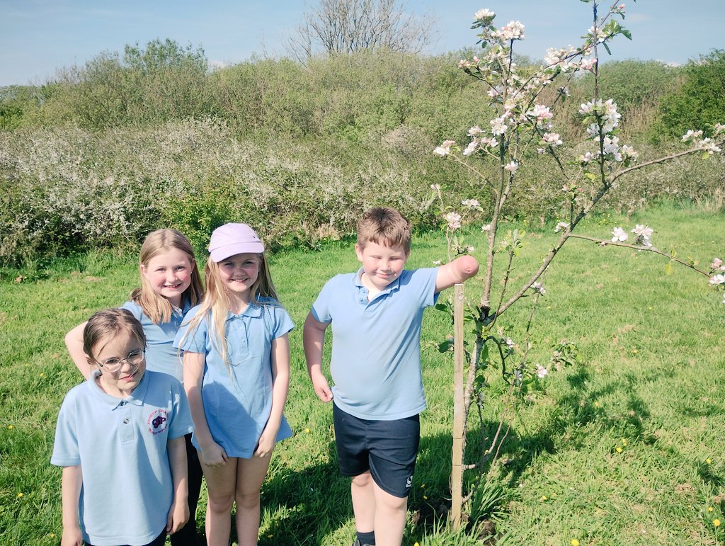 Johnston Community Primary School tweet media