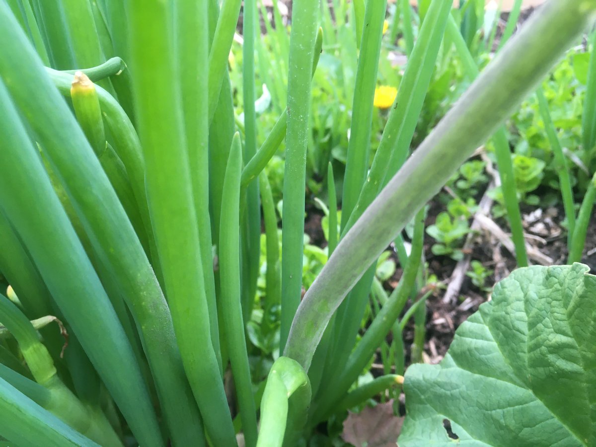 Travis Cranmer tweet media