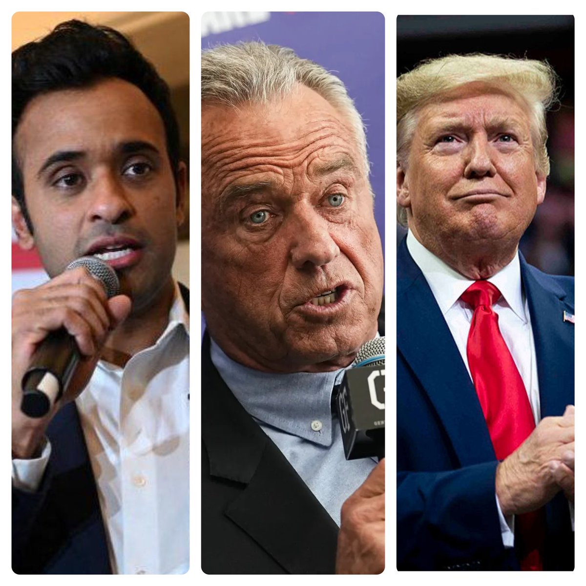 Vivek Ramaswamy, RFK Jr, and Donald Trump are scheduled to appear at the Libertarian Party National Convention at the end of the month. What are your thoughts?