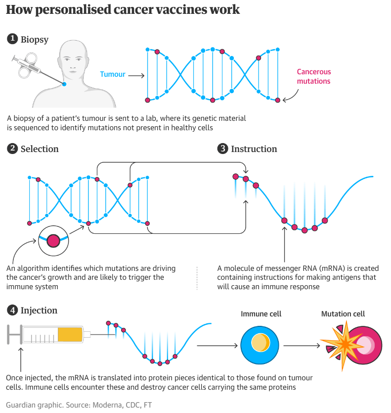 Cancer vaccines are 'Rocket Science' for your immune system.

theguardian.com/science/2023/a…

#biomedicaltechnology #cancervaccines #mRNA #preventcancer