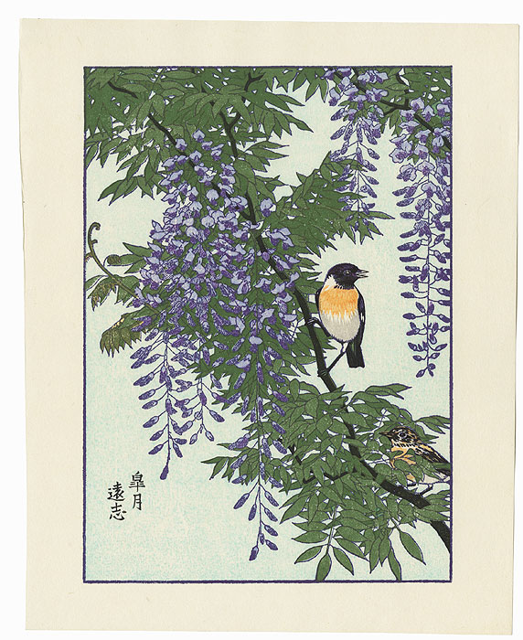 Bird on a Wisteria by Toshi Yoshida