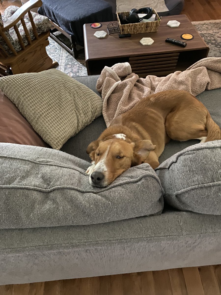 One more sleep till EP #farm