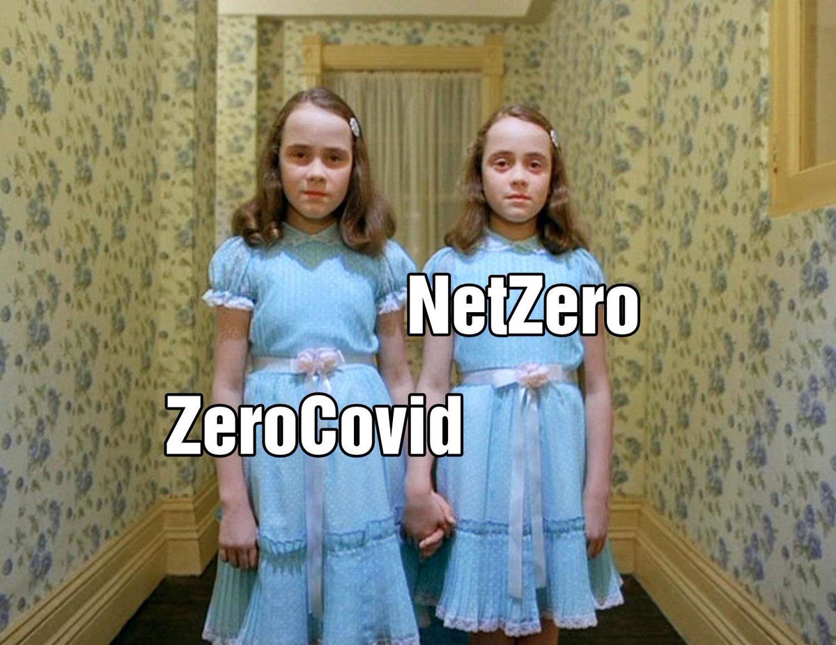 @olivergorus #ZeroCovid und #NetZero sind Inkarnationen desselben menschenfeindlichen Kults.