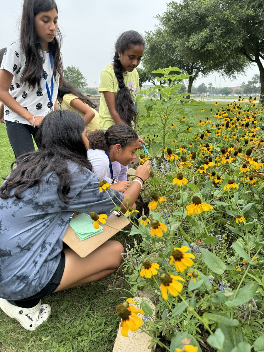 🌻Flower Power 🌻 Thank you @RobisonES for another beautiful Garden Day! I hope these 5th graders have a cool summer☀️ 😎 and take all the lessons they learned from the garden into their middle school life science classes! @readygrowgarden @CFISDScience @CyFairISD @RobisonElemPTO