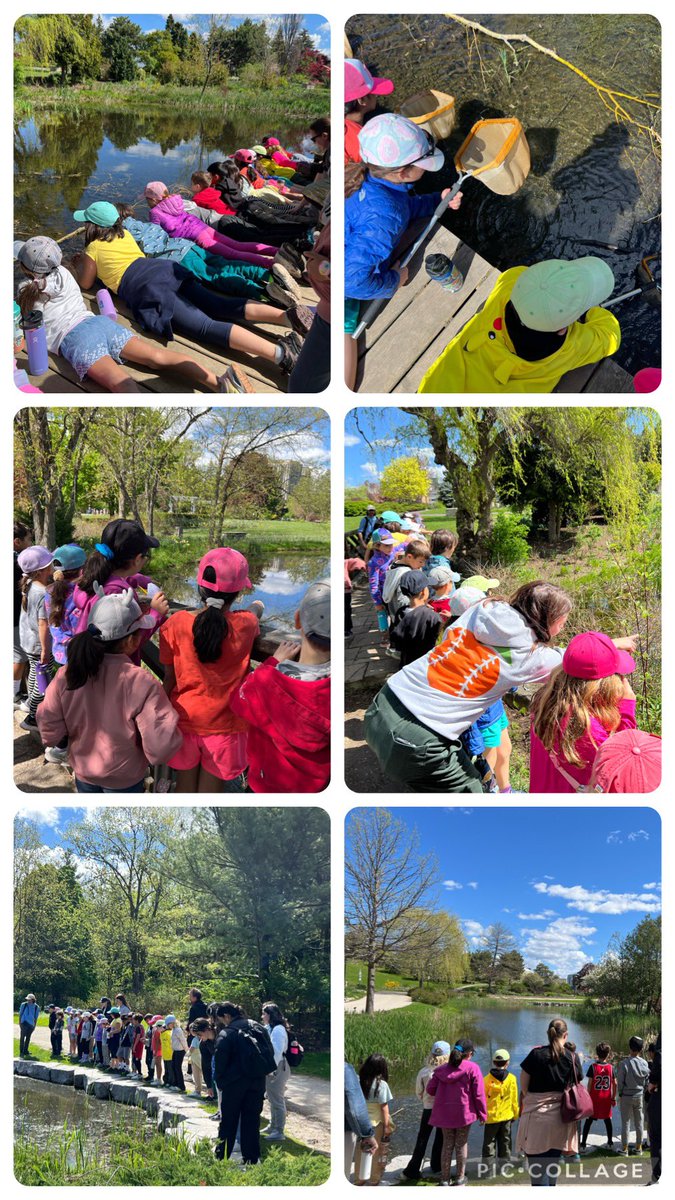 Ss had a chance to use the nets to search for invertebrates such as dragonflies, crayfish, snails at @HumberArb today! They ❤️’d sticking their net in the water & then washing it out & checking to see what they caught. @TDSB_STEM