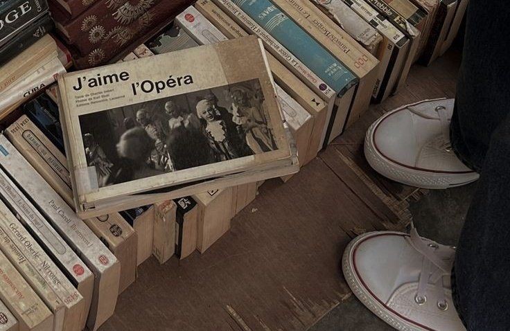 AcademiaDreams's tweet image. 