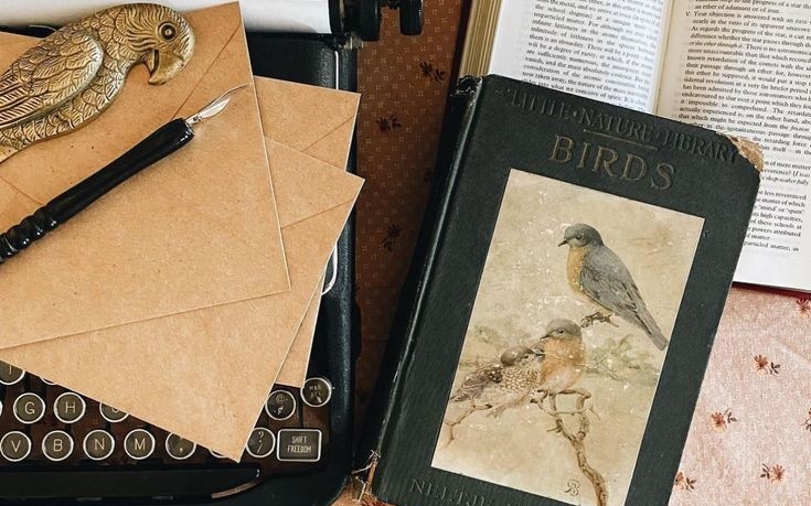 AcademiaDreams's tweet image. 