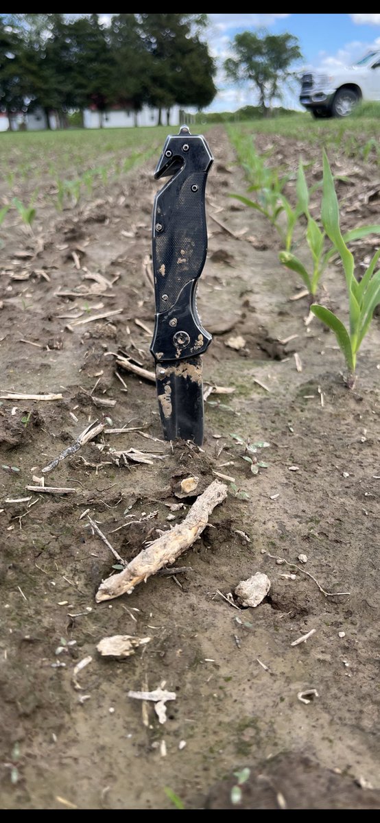 Watch out WCIL, the devil #waterhemp is beginning to emerge on May 8th. Not only is the emergence date of waterhemp becoming earlier and earlier each year, but with wet conditions getting sprayers in the field to control this beast timely is going to be tough!