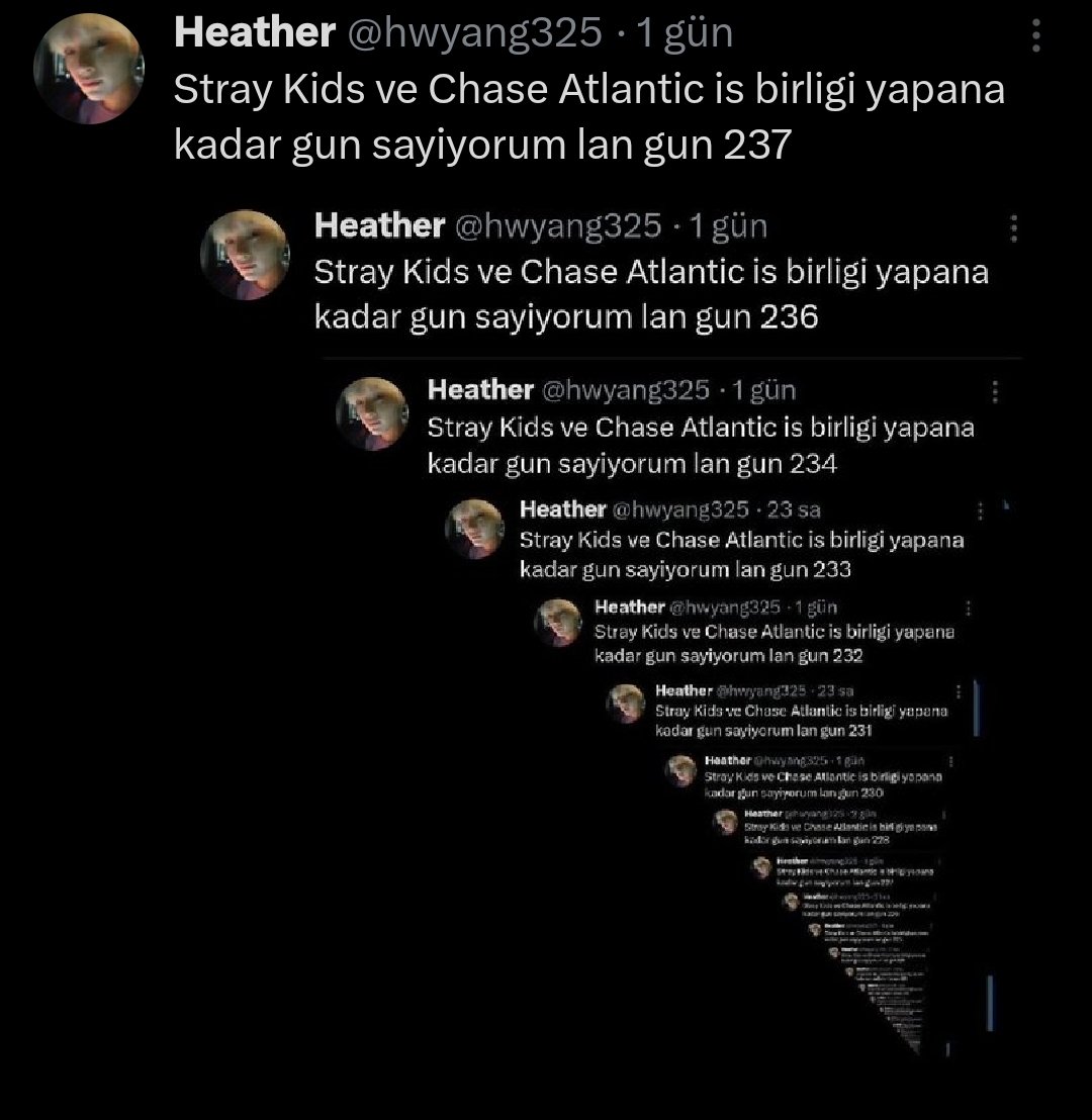 Stray Kids ve Chase Atlantic is birligi yapana kadar gun sayiyorum lan gun 238