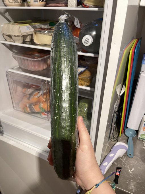 I&rsquo;ve never understood why people masturbate with cucumbers&hellip; until today, because holy fuck are you seeing