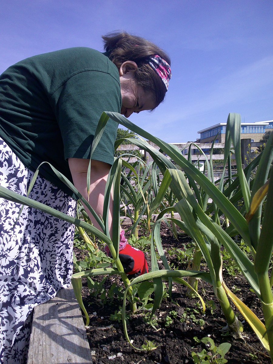 Surrey Docks Farm tweet media