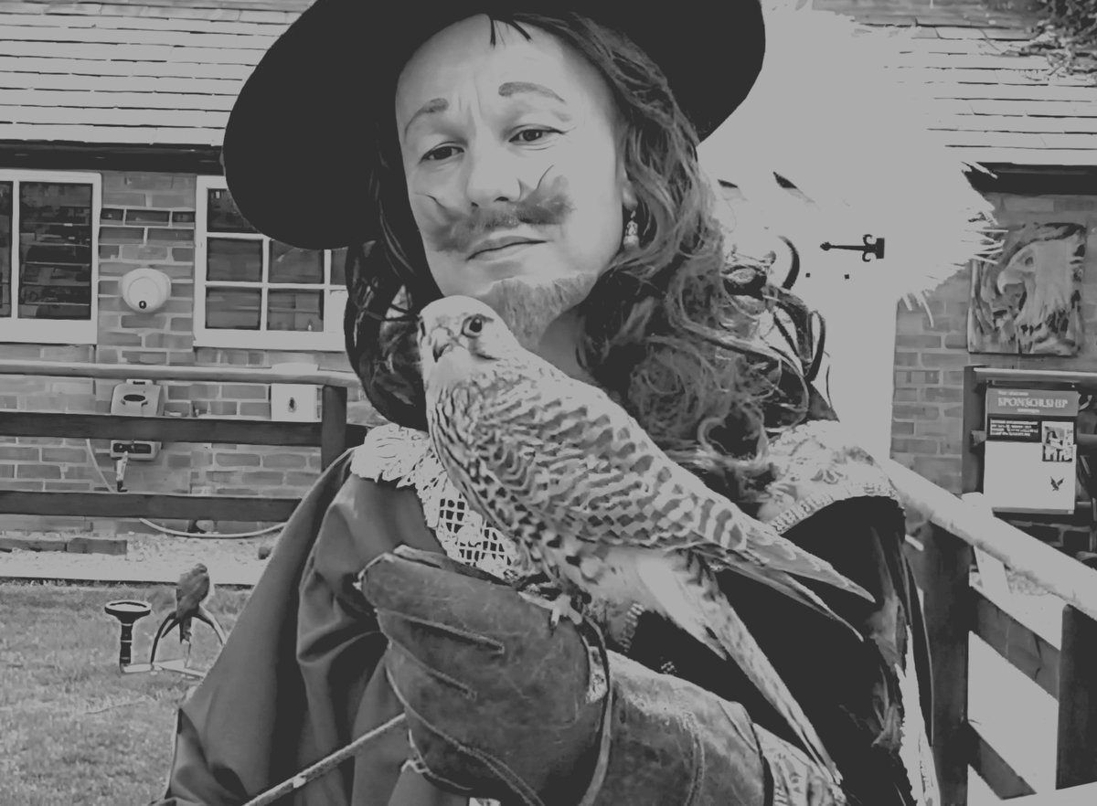 What a beauty! Doing a spot of Falconry at the much missed Chester Falconry in 2019 #Chester #Cheshire #Kingcharles #CharlesI #Falconry #Bird #Birds #birdsofprey #History